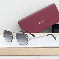 Cartier Glasses