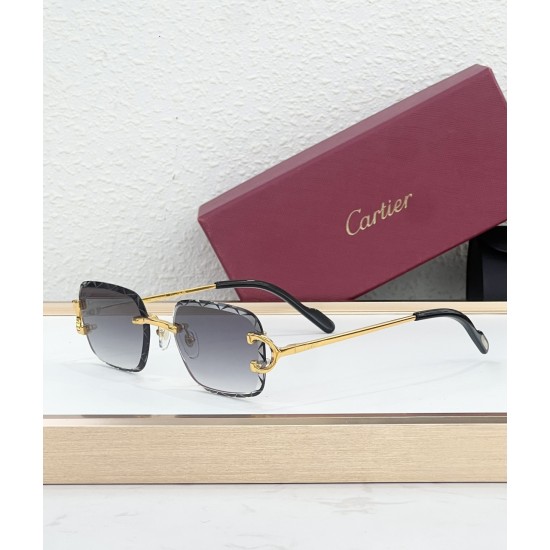 Cartier Glasses