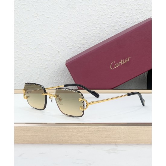 Cartier Glasses