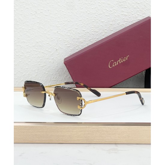 Cartier Glasses