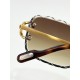 Cartier Glasses