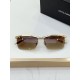 DG Glasses