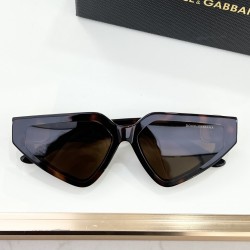 DG Glasses