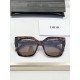Dior Glasses