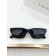 Dior Glasses