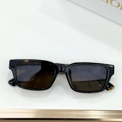 Dior Glasses