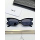 Dior Glasses