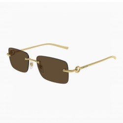 Gucci Glasses