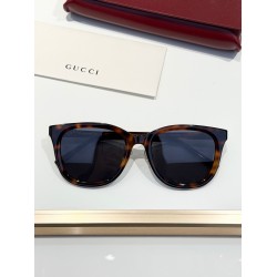 Gucci Glasses