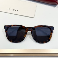 Gucci Glasses