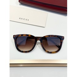 Gucci Glasses