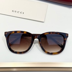 Gucci Glasses