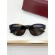 Gucci Glasses