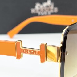 Hermes Glasses