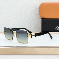 Hermes Glasses
