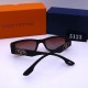 LV Sunglasses Goods
