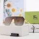 Burberry Glasses—High Quality