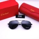 Cartier Glasses: High Quality