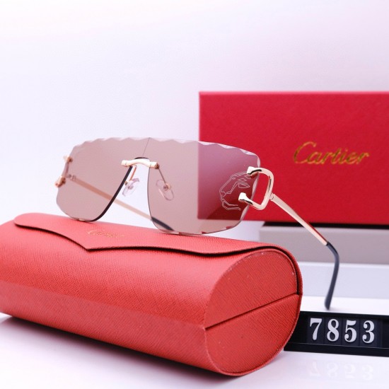 Cartier Glasses: High Quality