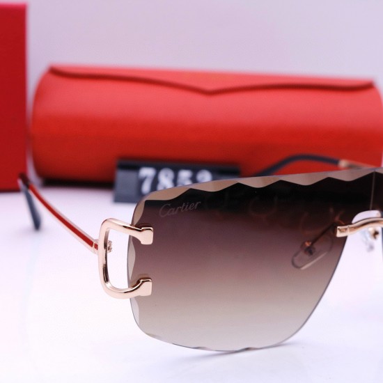 Cartier Glasses: High Quality