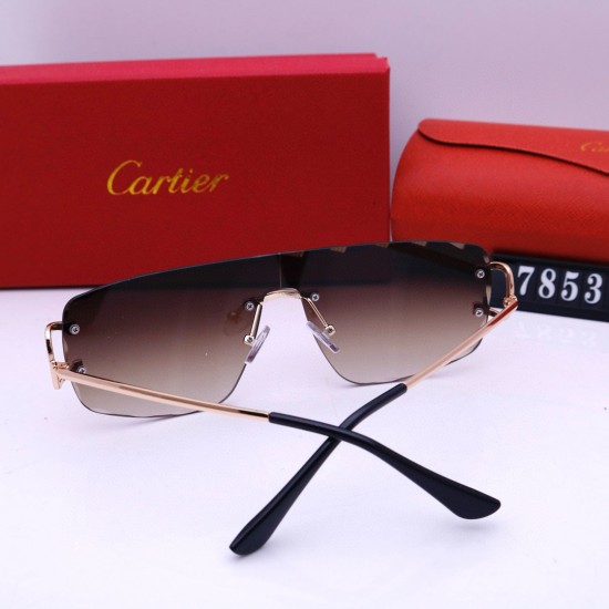 Cartier Glasses: High Quality