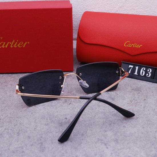 Cartier Glasses: Good Quality
