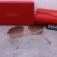 Cartier Glasses—High Quality