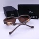 Dior Glasses: High Quality