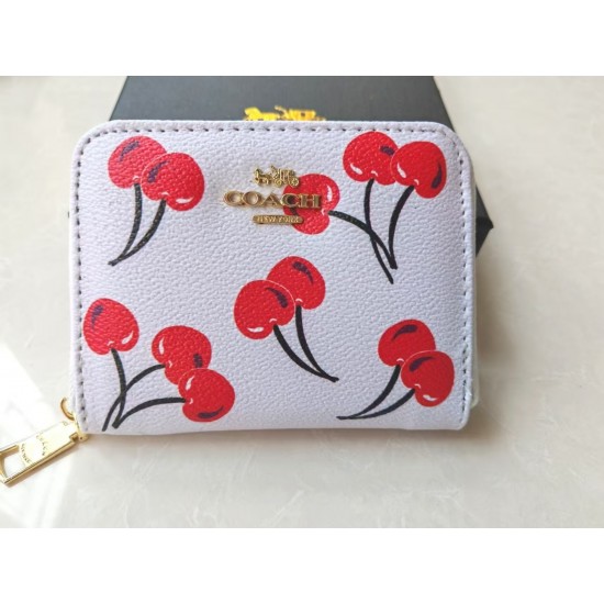 High-Quality Coach Bags and Wallets, $30–$50