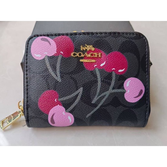 High-Quality Coach Bags and Wallets, $30–$50