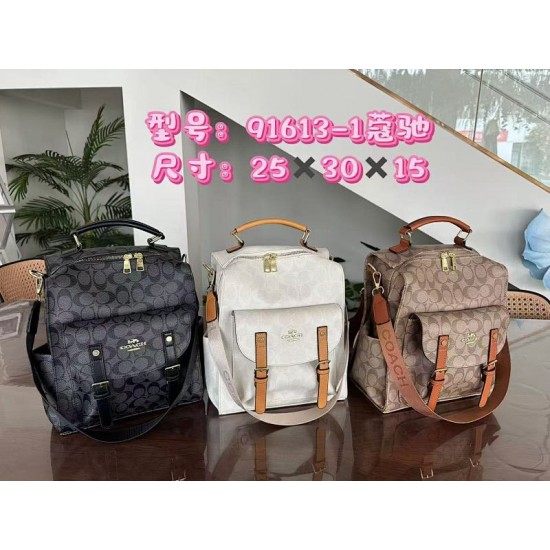 High-Quality Coach Bags and Wallets, $30–$50
