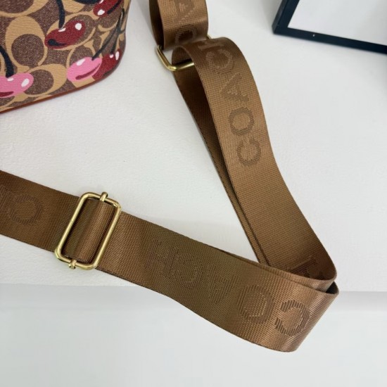 High-Quality Coach Handbags $30–$50