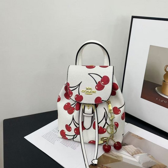 High-Quality Coach Bags and Wallets, $30–$50