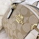 High-Quality Coach Handbags, $30–$50