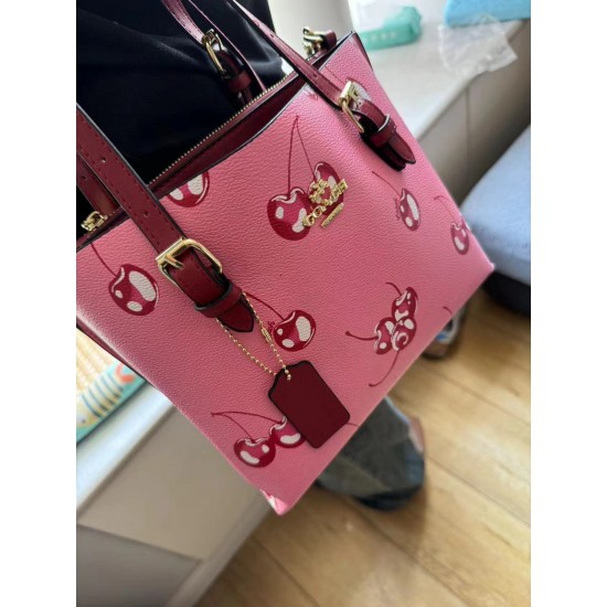 High-Quality Coach Bags and Wallets, $30–$50