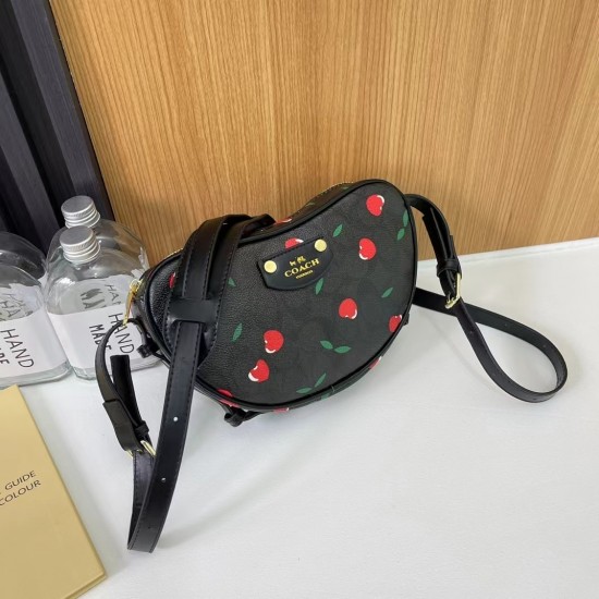 High-Quality Coach Bags and Wallets, $30–$50