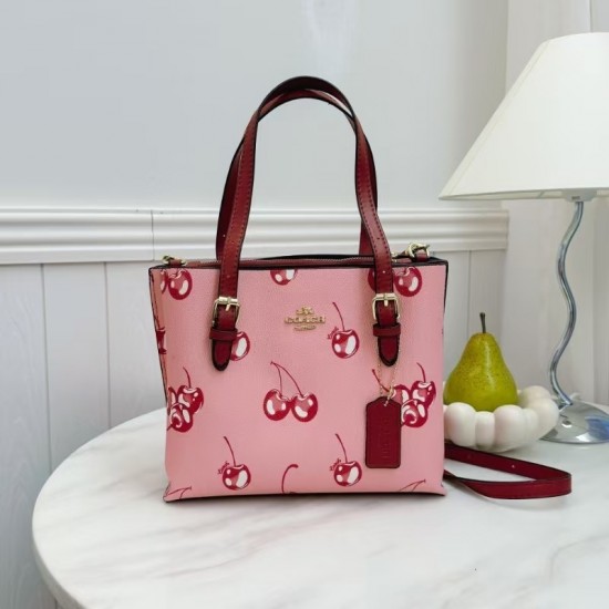 High-Quality Coach Bags and Wallets, $30–$50