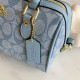 High-Quality Coach Bags and Purses, $30–$50