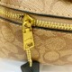 High-Quality Coach Bags and Wallets, $30–$50