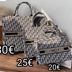 High-Quality Dior Handbags and Wallets, $30–$50