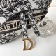 High-Quality Dior Handbags, $30–$50