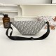High-Quality Dior Bags and Purses, $30–$50