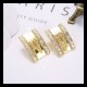Balenciaga Earrings
