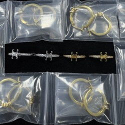 Celine Earrings