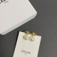 Celine Earrings