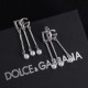 DG Earrings
