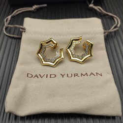 David Earrings