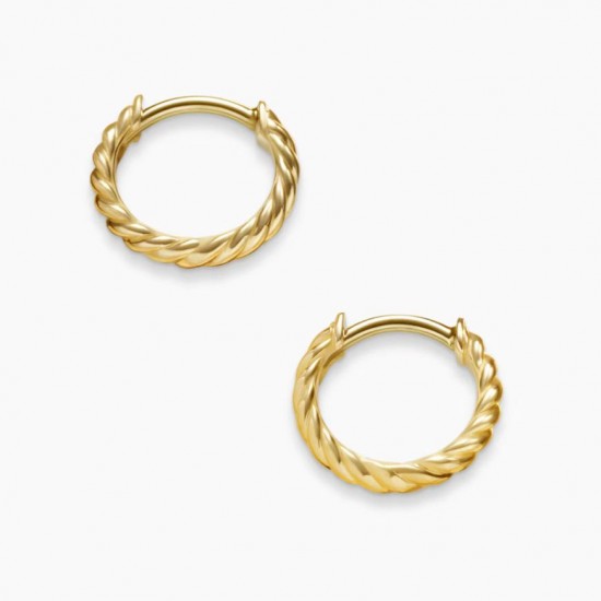 David Earrings