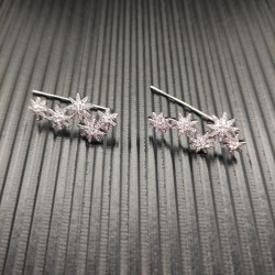 David Earrings