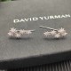 David Earrings